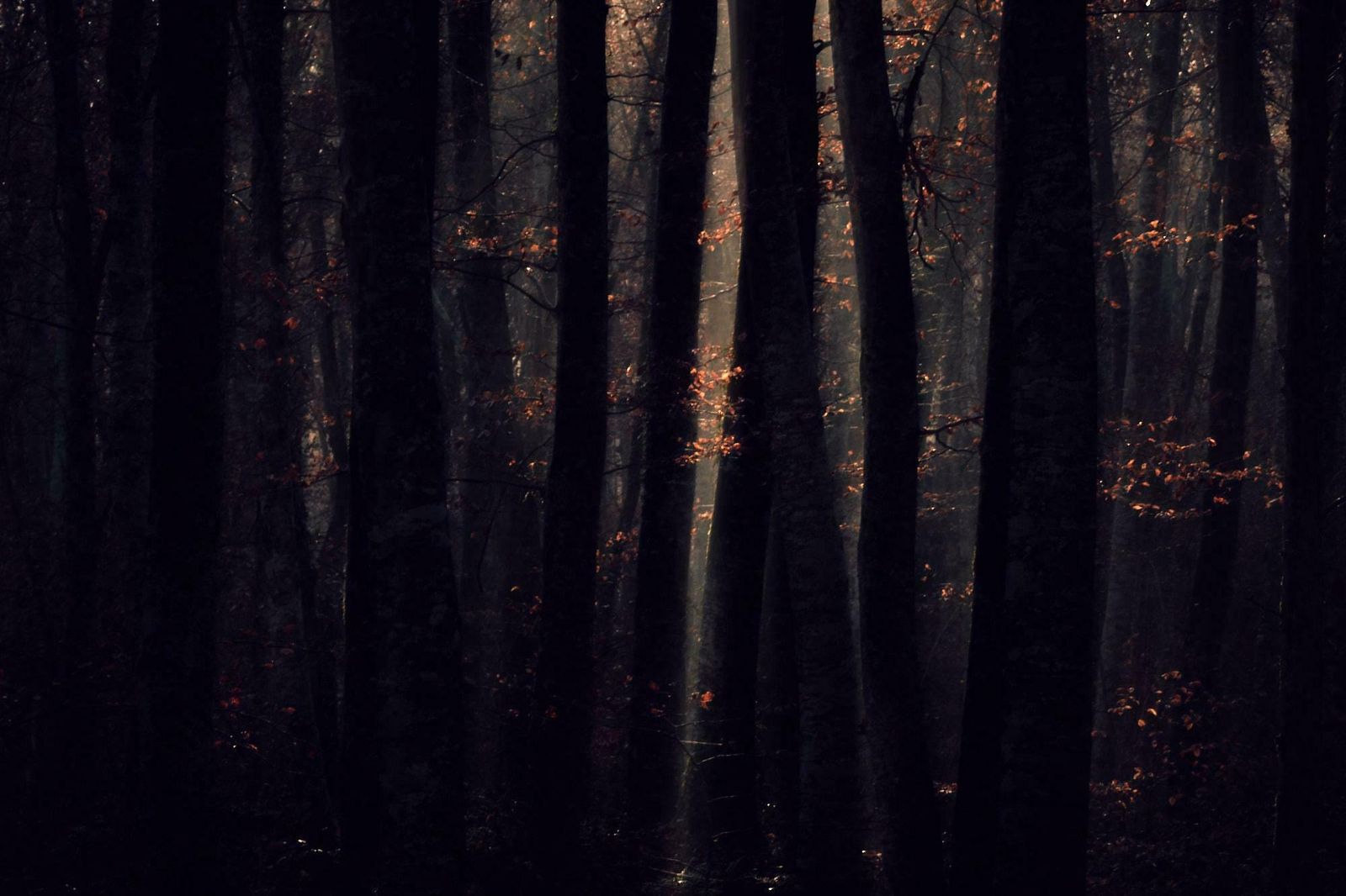 Jaume Llorens Deep Inside III #12 By Jaume Llorens   Nature Photography, Landscape Photography 2018
