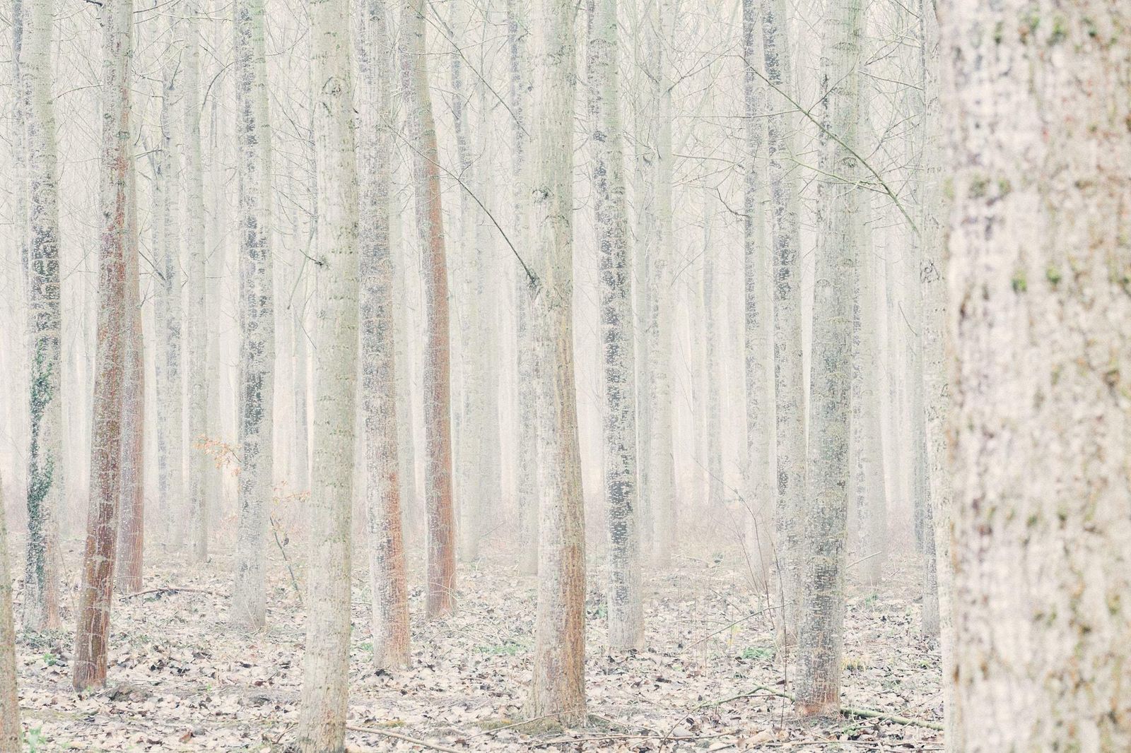Jaume Llorens Deep Inside III #9 By Jaume Llorens   Nature Photography, Landscape Photography 2018