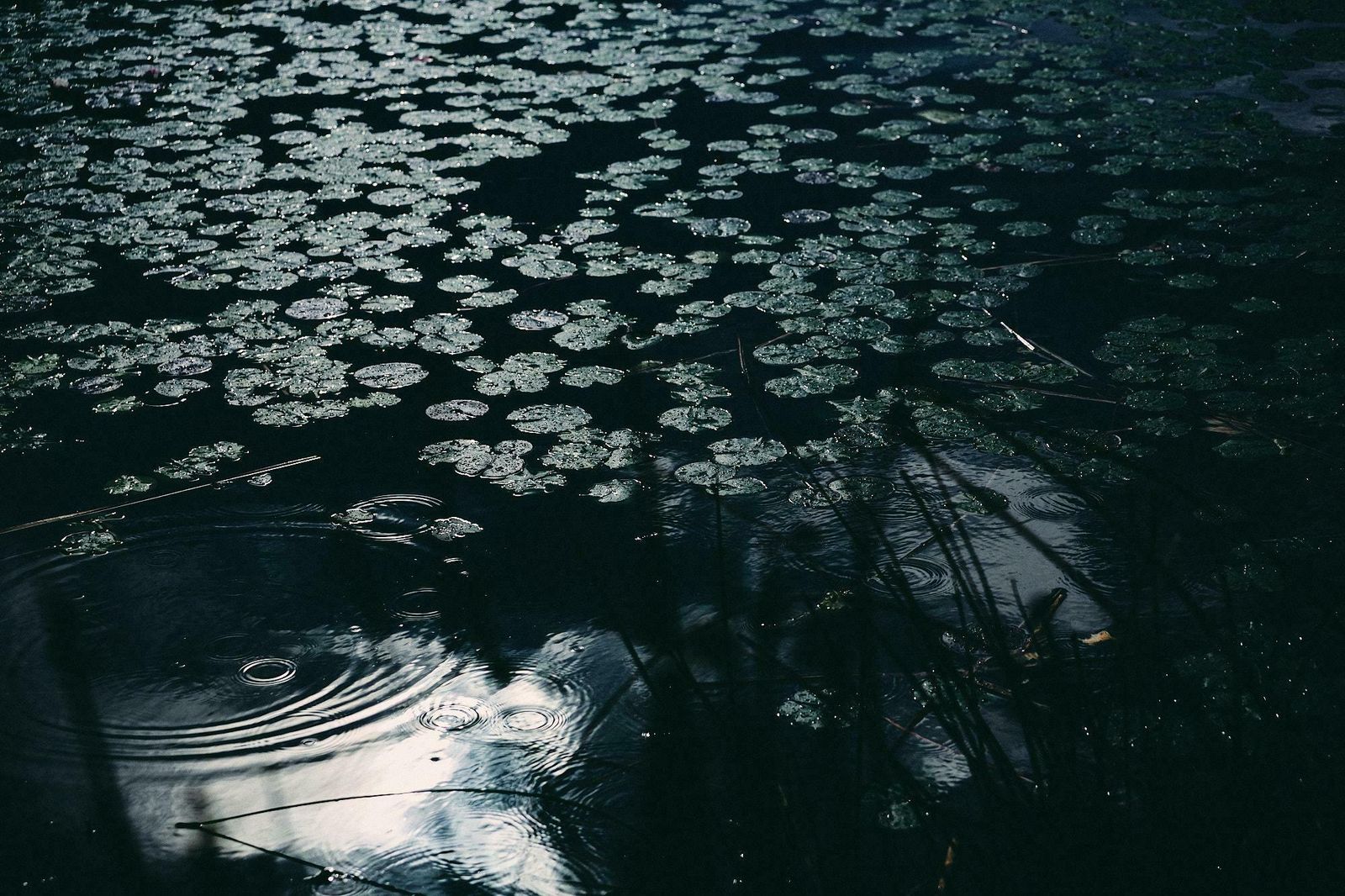 Jaume Llorens Deep Inside III #8 By Jaume Llorens   Landscape Photography, Nature Photography