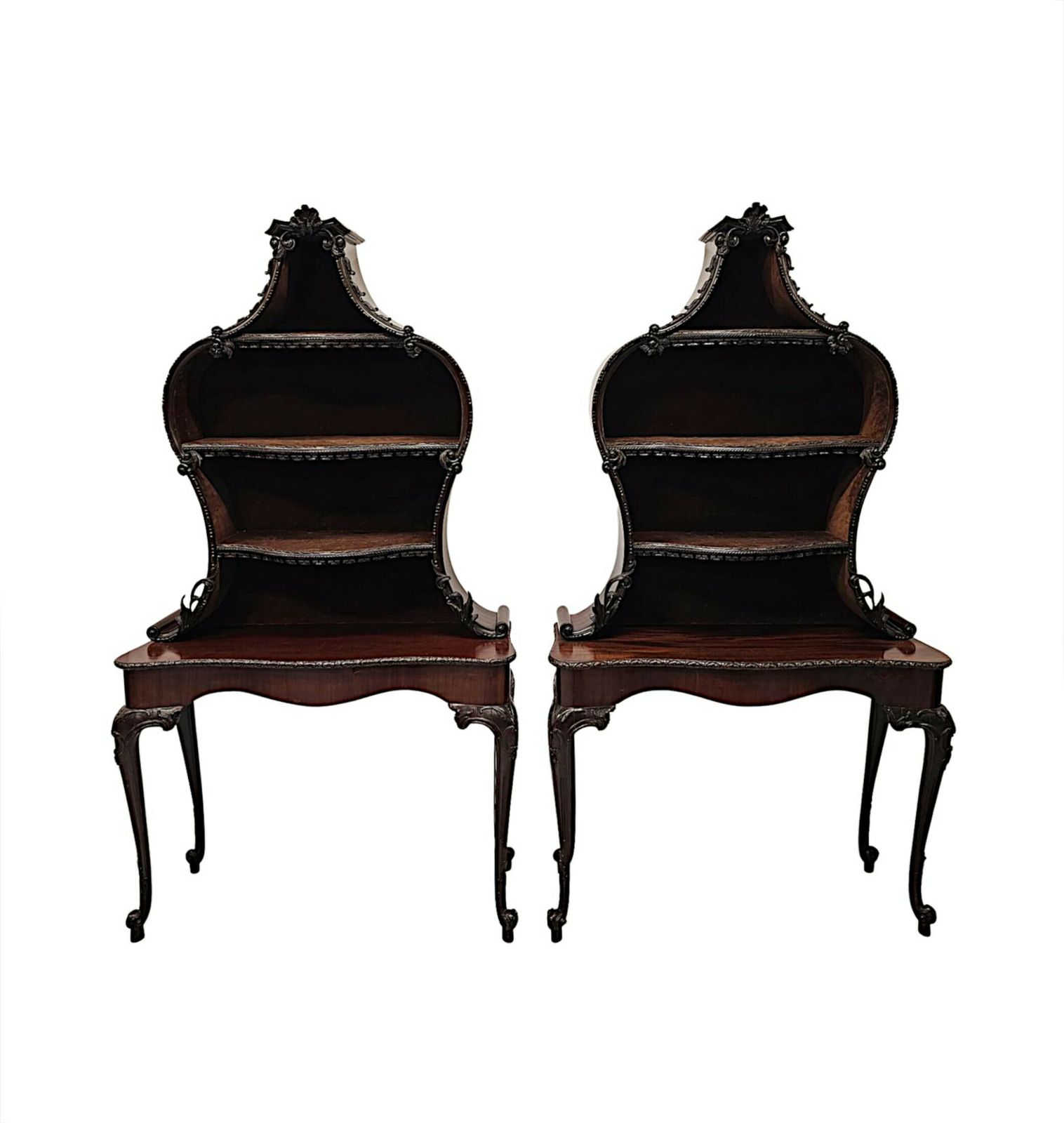 A Very Rare And Fine 19th Century Unusual Pair Of Mahogany Bookcases Or Display Cases
