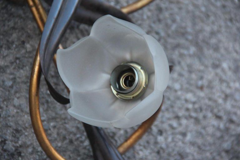 Vertical Big Sconce Modern Floreal Forged Metal Glass Hand Made In Italy Gold photo vintage