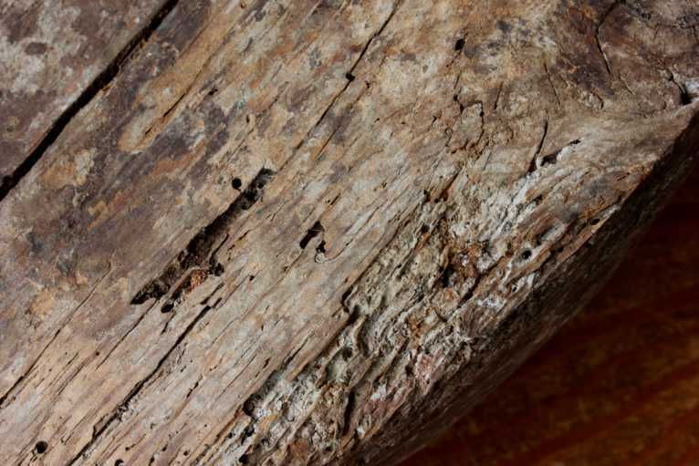 photo furniture Antique French Wood Decoy Duck. Folk Art Rustic Decorative Water Bird.