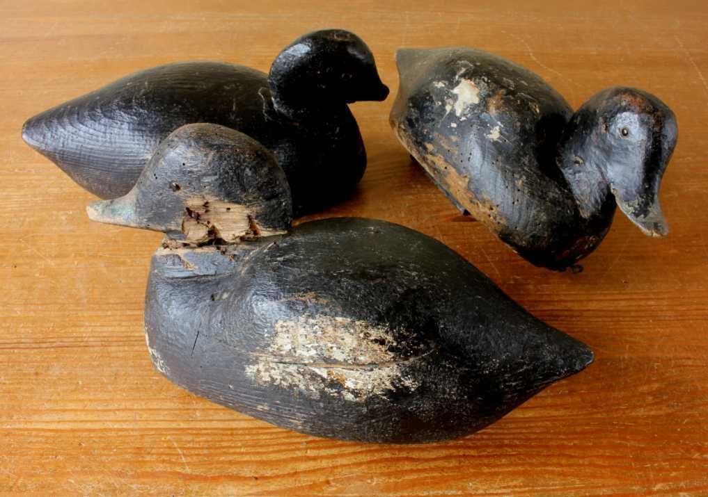 photo for sale Three Antique French Wood Decoy Ducks. Early Painted Folk Art Rustic Birds.