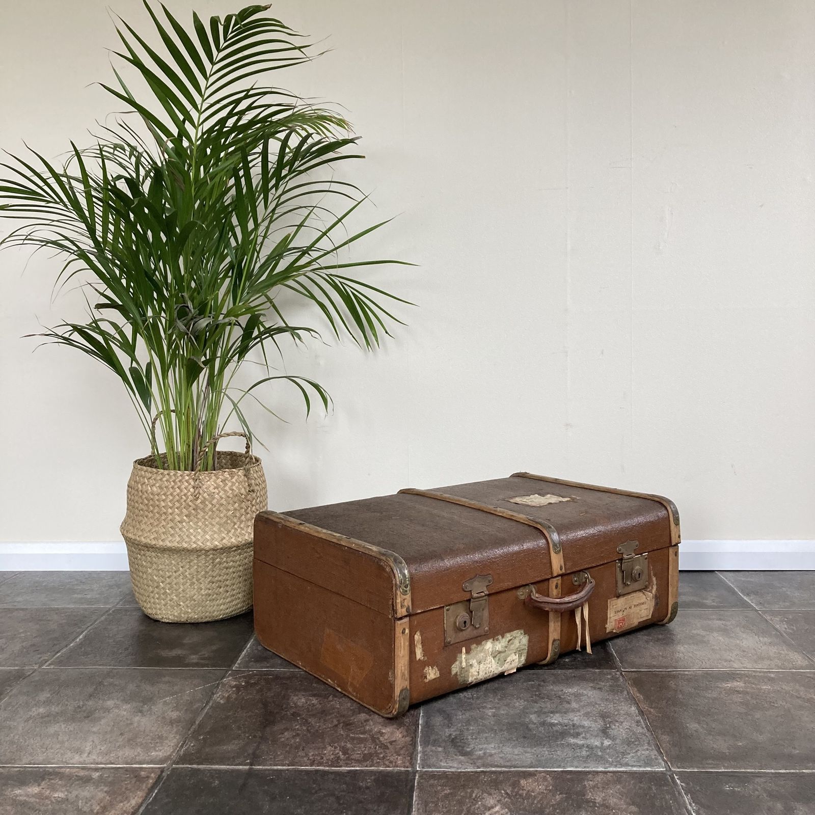 Characterful Antique Bentwood Steamer Trunk / Suitcase / Luggage / Travel Shop Display
