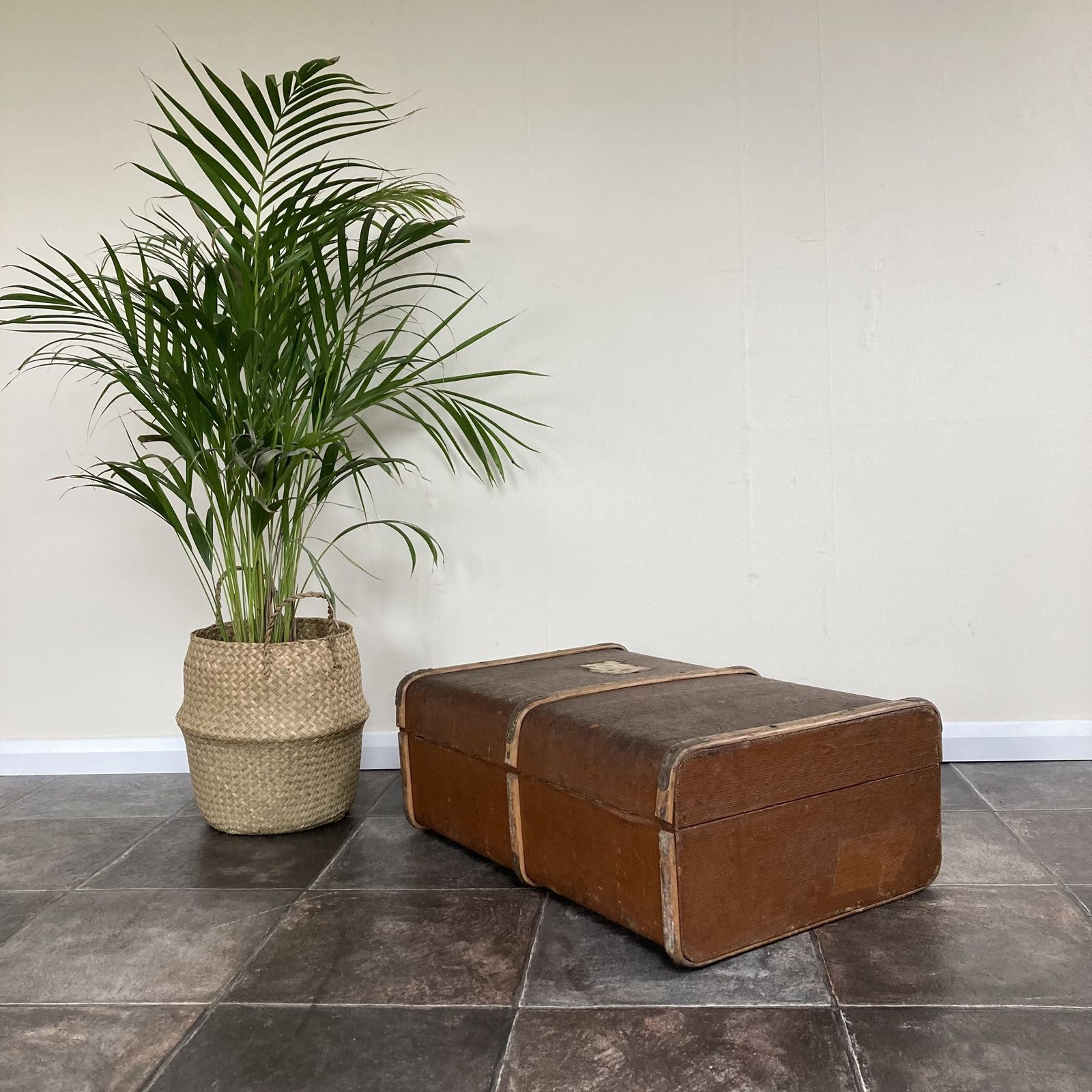 Furniture Characterful Antique Bentwood Steamer Trunk / Suitcase / Luggage / Travel Shop Display photo