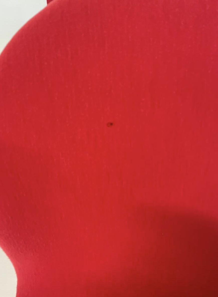 Mid Century Modern Set Of 6 Red System 123 Chairs By Verner Panton, 1973 photo 6000.0