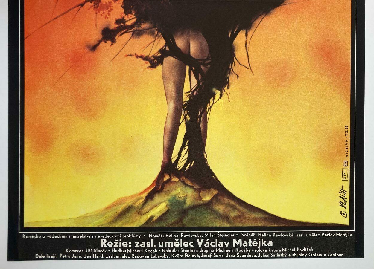 Movie Poster, My Sinful Man, Zdeněk Vlach, 1987 photo for sale