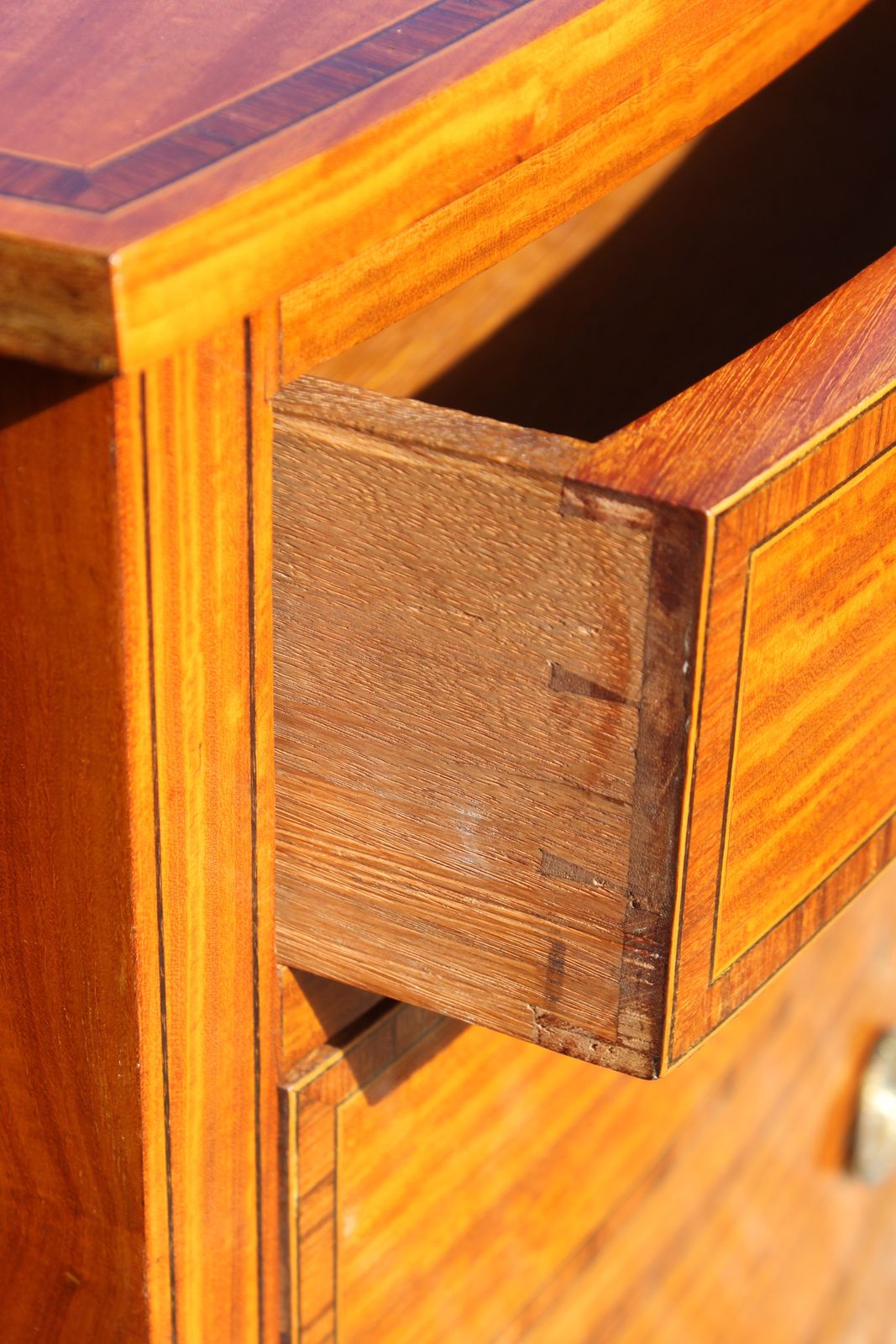 Sheraton Revival Satinwood Chest photo Furniture