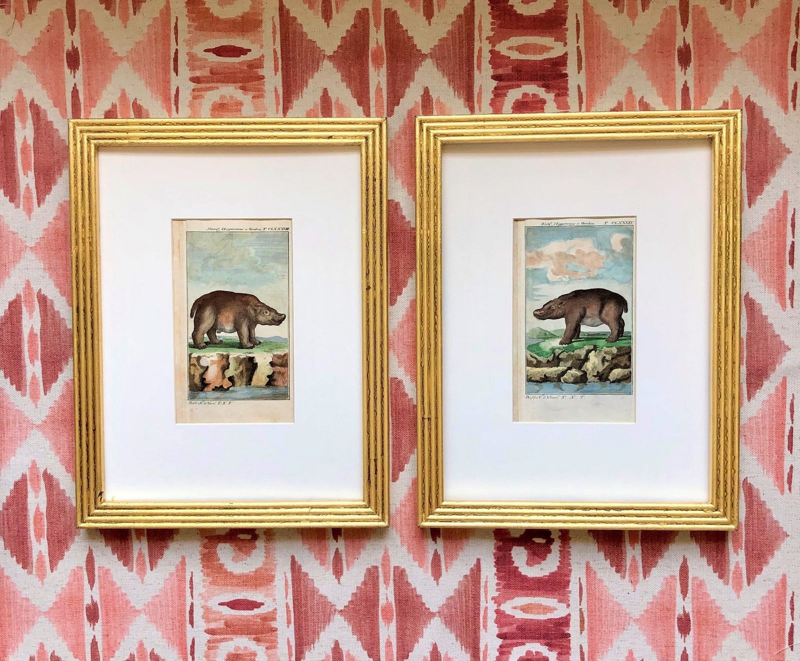 Gilt Framed Pair Of Rare 18th Century Animal Hippo Engravings By Buffon