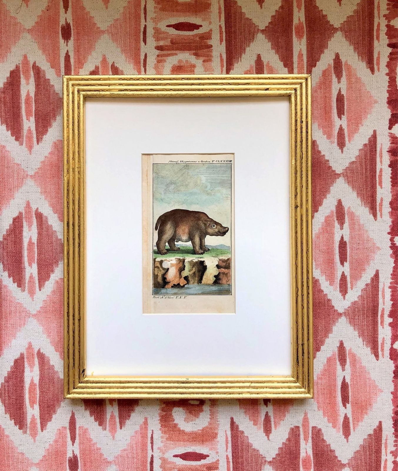 Gilt Framed Pair Of Rare 18th Century Animal Hippo Engravings By Buffon photo furniture