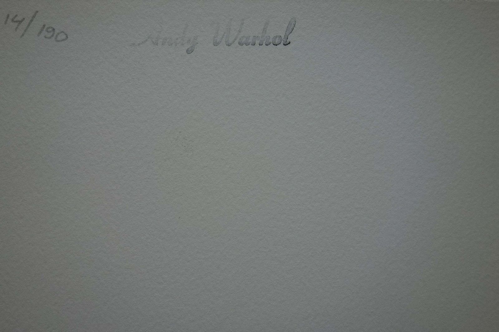 Fine Pop Art Limited Edition Print   Illustration   Cat, Andy Warhol, Signed & Numbered photo Art