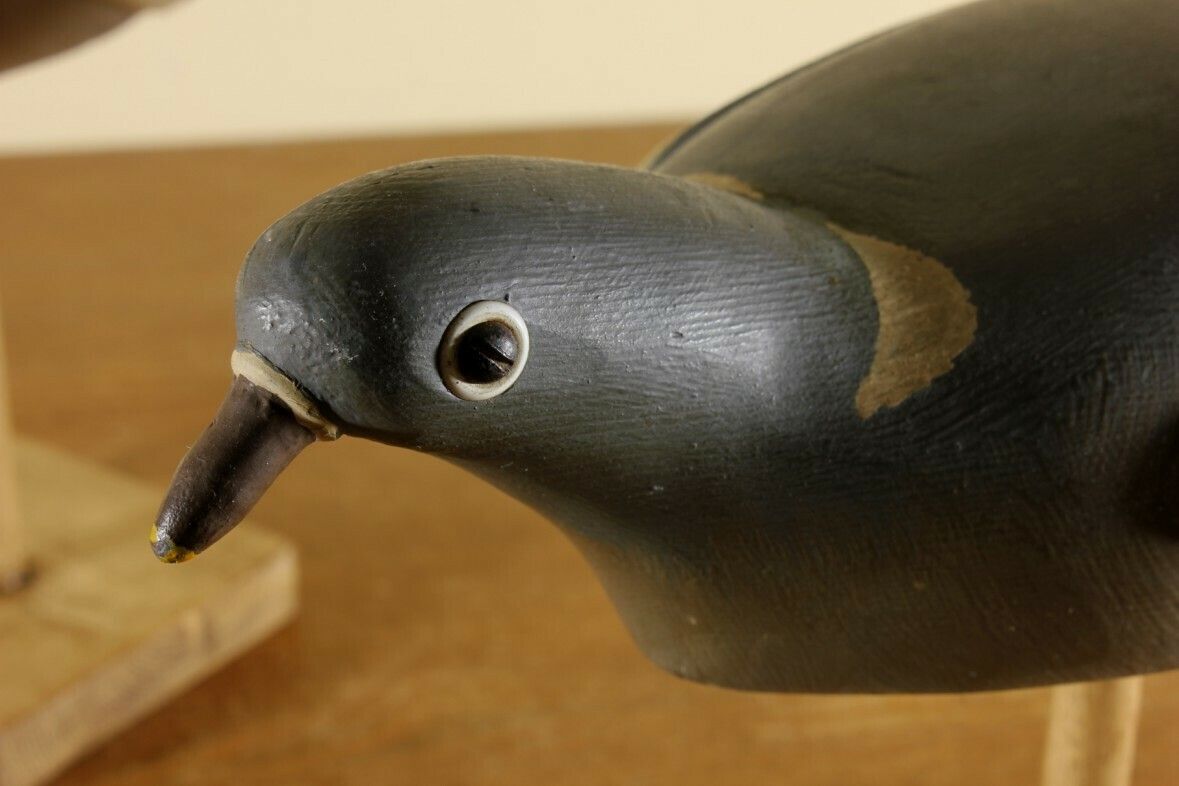 photo furniture Two Wooden Decoy Pigeons. Ted Grace English Folk Art Birds. 1950's.