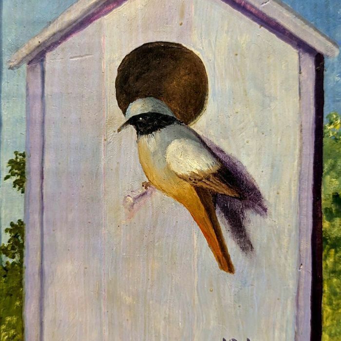 White Fronted Redstart Animal Painting French School Philippe Lazare 20th Century photo furniture