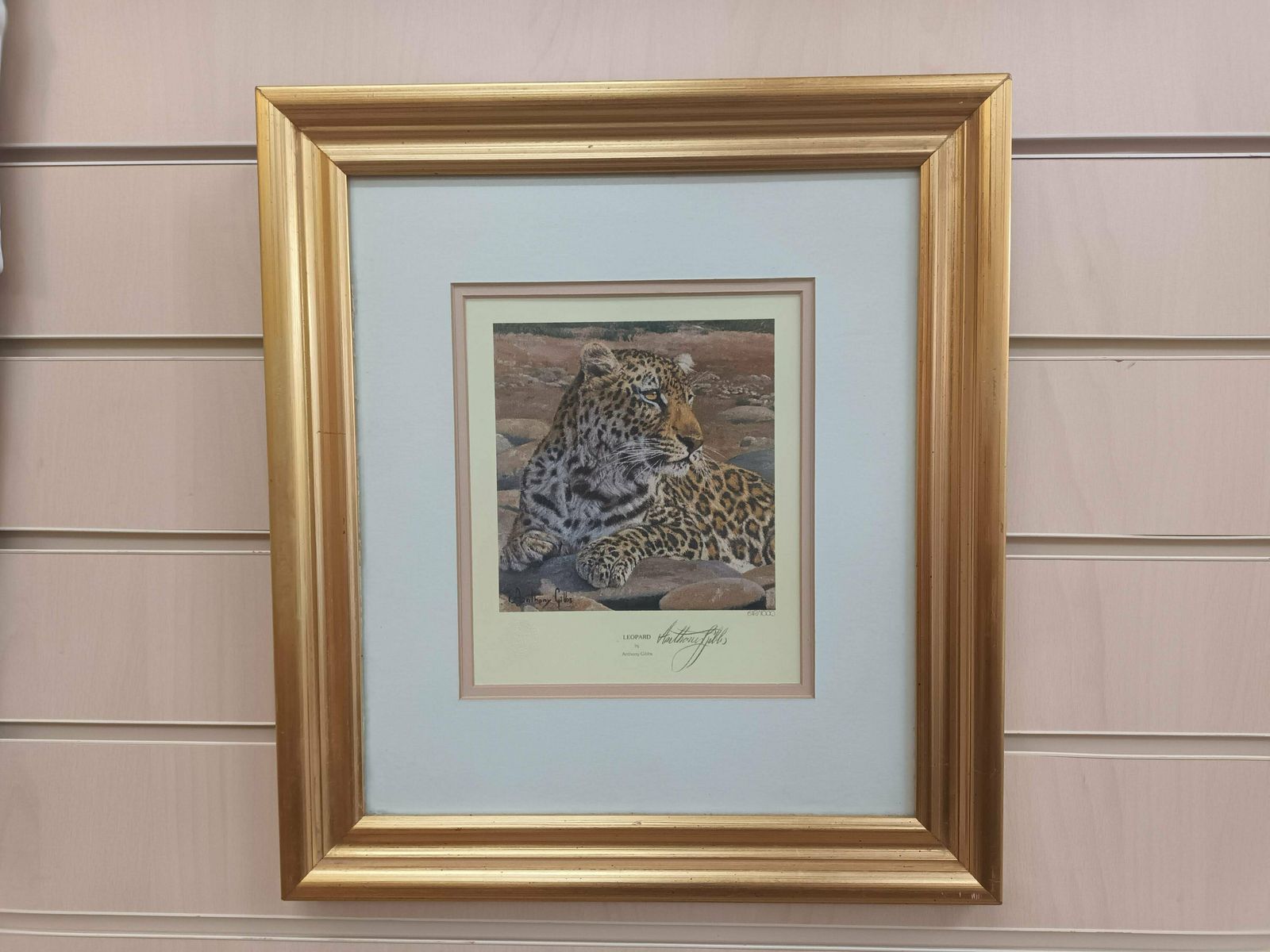 Vintage Leopard Print Signed Print Of A Leopard Anthony Gibbs Framed Signed Ltd Edition photo furniture