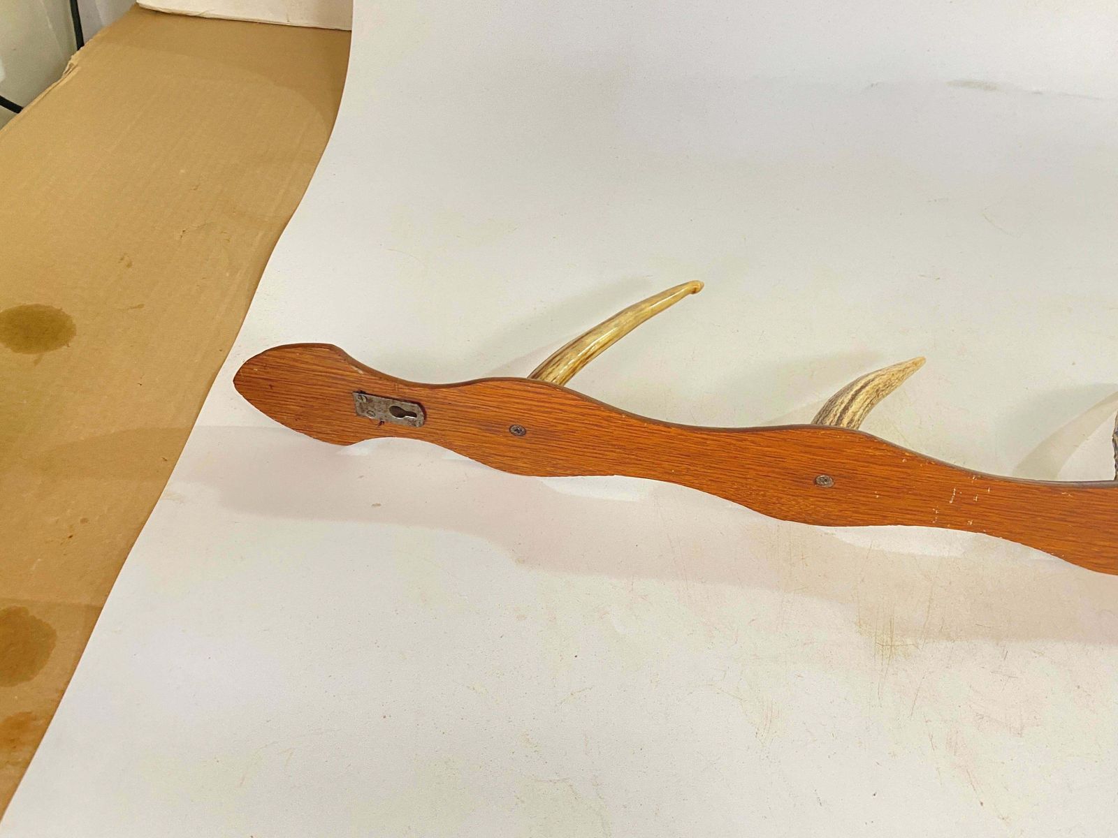 Wooden And Horn Coat Rack, 4 Hooks, Brown And White Color, France 1960 photo furniture
