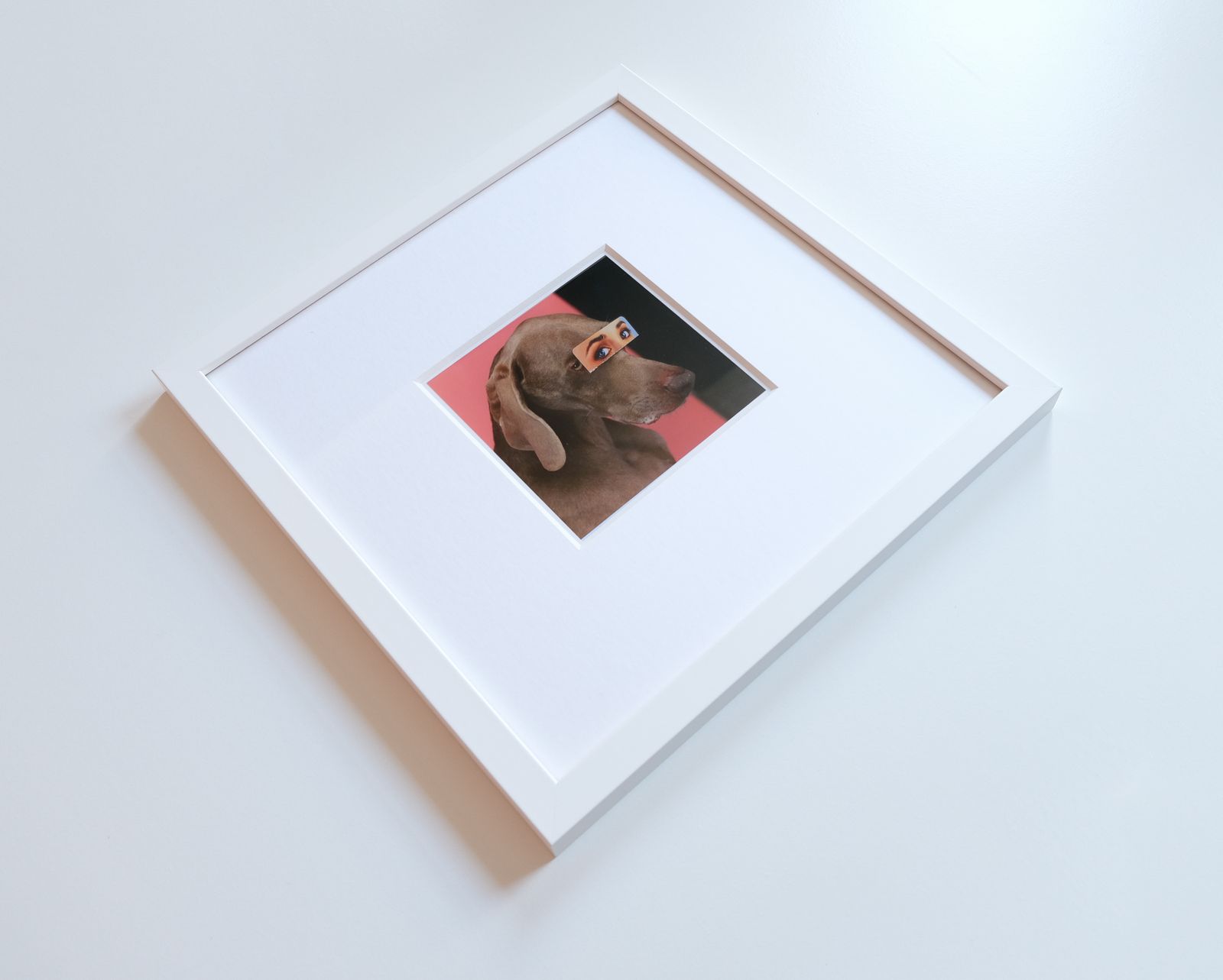 Signed & Framed William Wegman “False Eyes" Magnum Print, 2019 photo 950.0