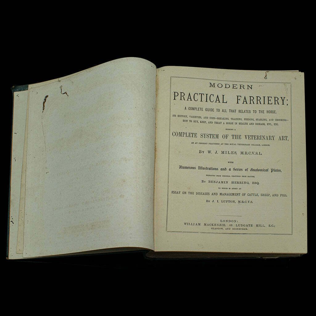 Large Antique Book, Modern Practical Farriery, Wj Miles, English, Circa 1900 photo 595.0