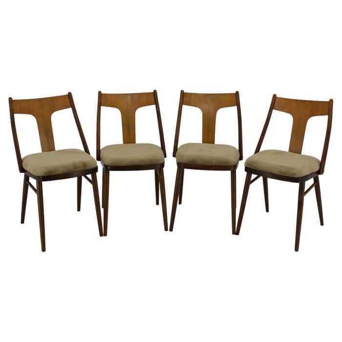 1950s Set Of Four Restored Dining Chairs In Walnut, Czechoslovakia