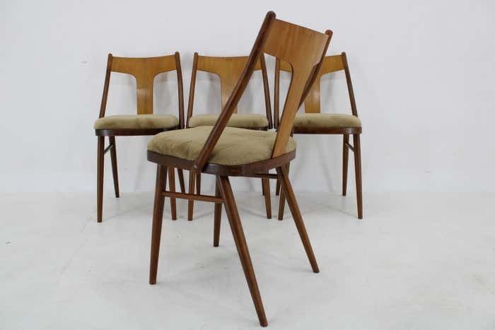 photo furniture 1950s Set Of Four Restored Dining Chairs In Walnut, Czechoslovakia