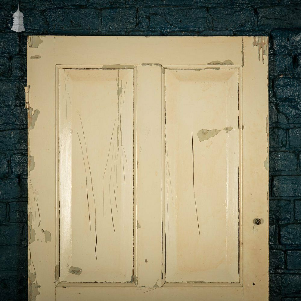 Pine Panelled Door, 4 Raised Panels, White Painted photo for sale