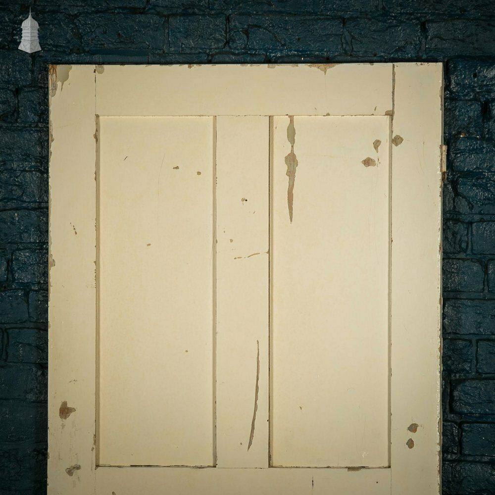 Pine Panelled Door, 4 Raised Panels, White Painted photo vintage