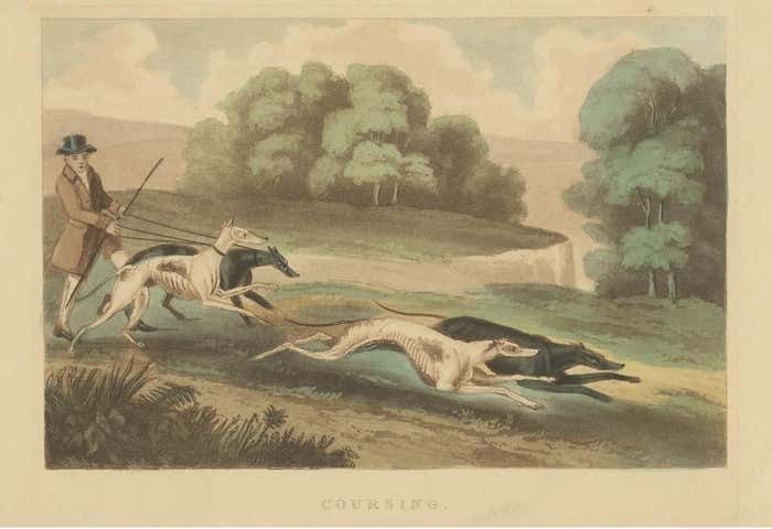 Antique Print Of Hunting Dogs Chasing Circa 1880 photo for sale