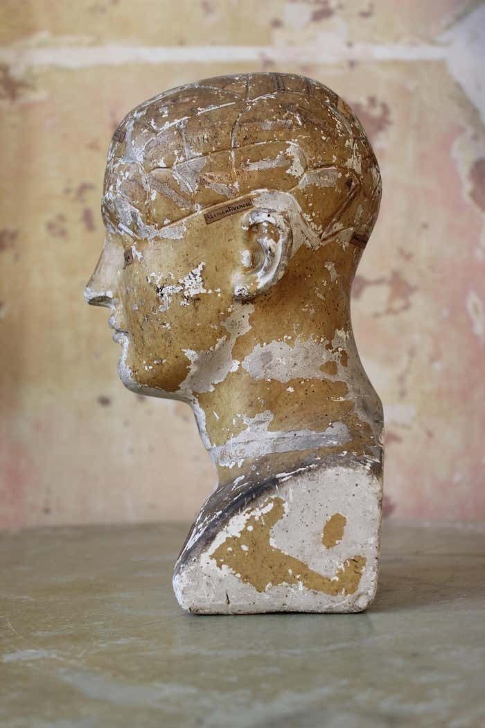 photo for sale 19th C Scientific James Deville L N Fowler Phrenology Plaster Bust Head Curi