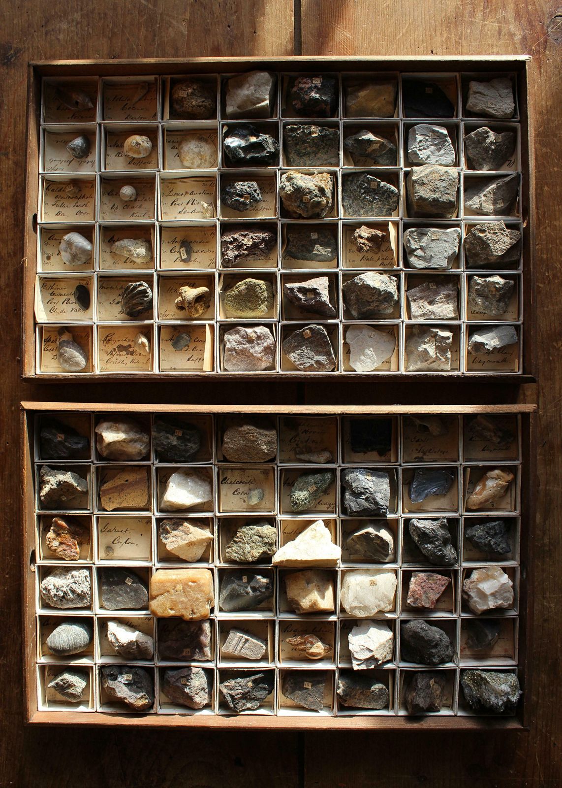 photo buy Late 19th C Gregory Bottley Scientific Collection Of Mineral Fossils Shell