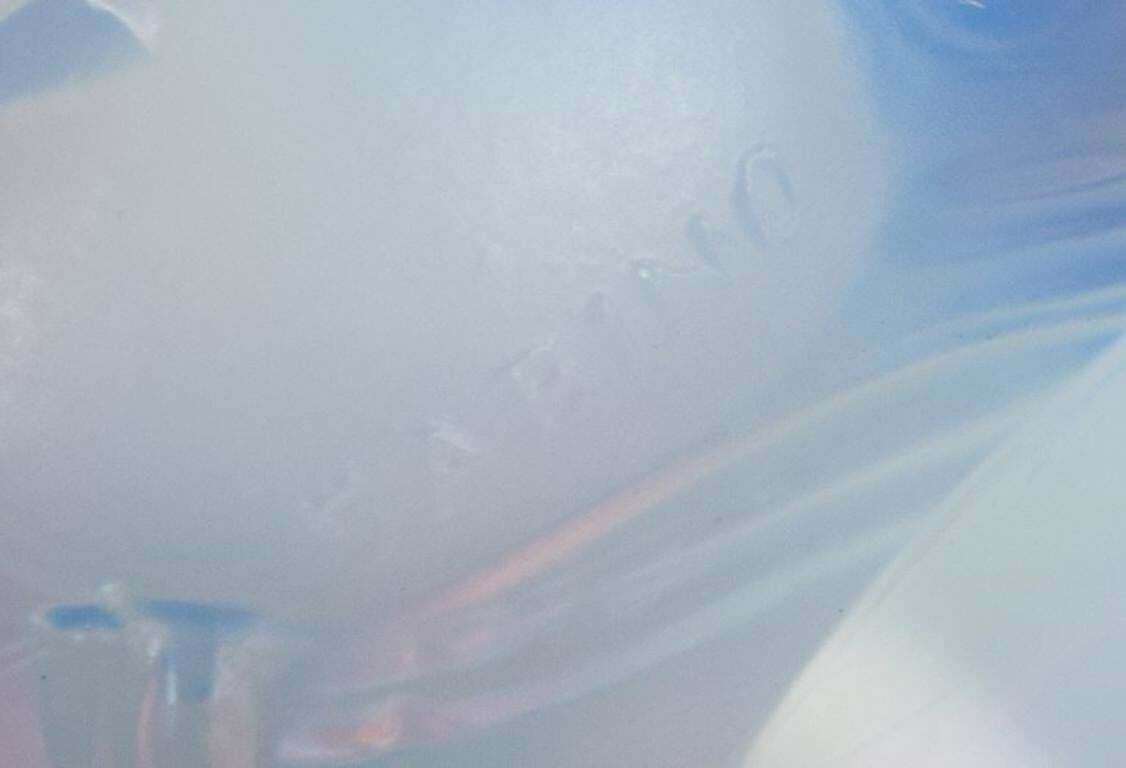 photo furniture Sabino, France. Two Fish In Art Deco Opaline Art Glass With Bluish Tint.