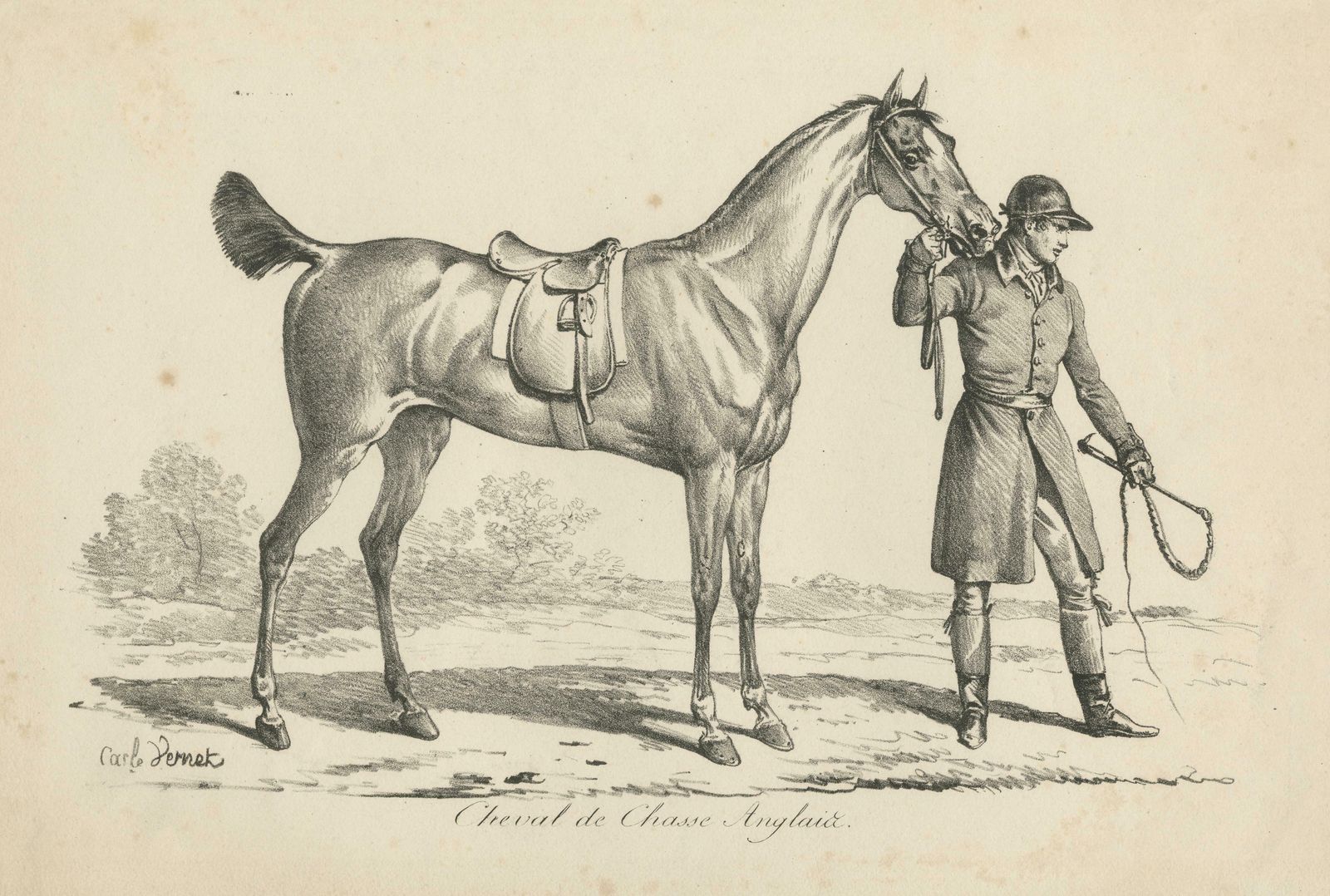Antique Print Of A Horse Used For Hunting In England photo for sale