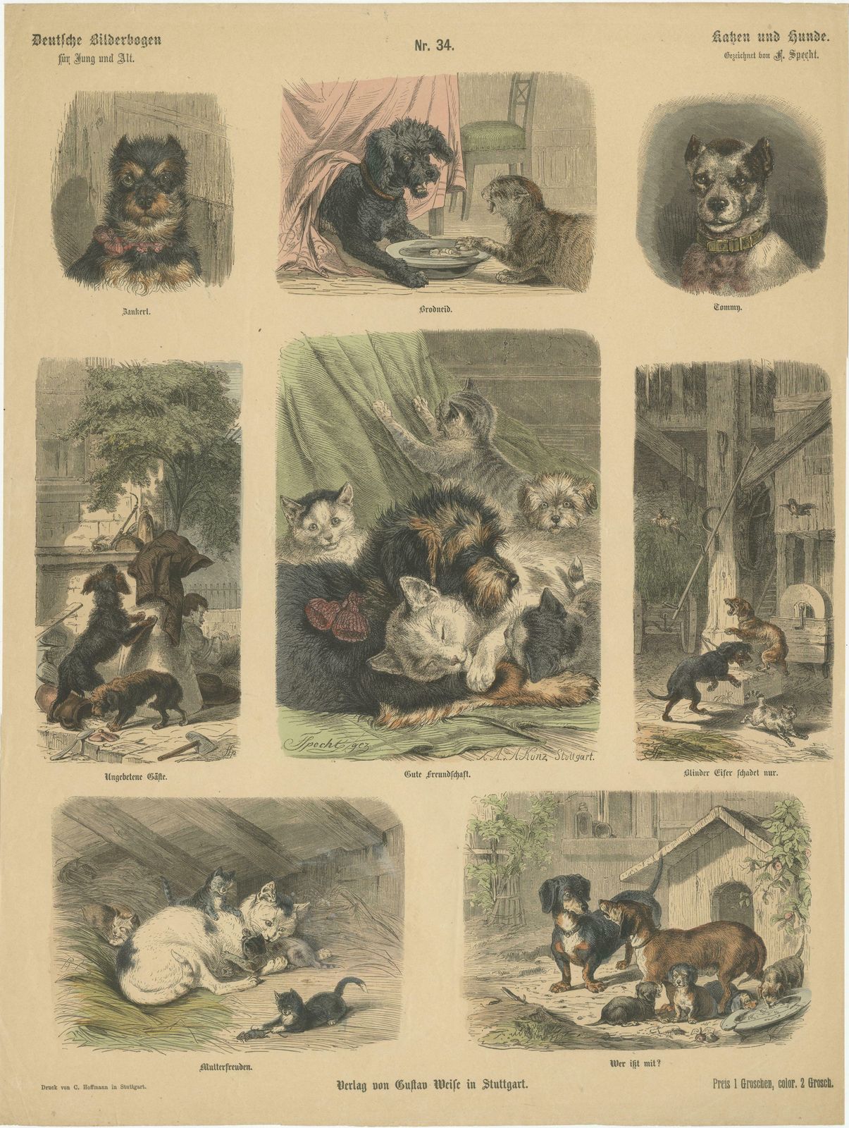 Antique Hand Colored Engraving Of Various Cats And Dogs photo for sale