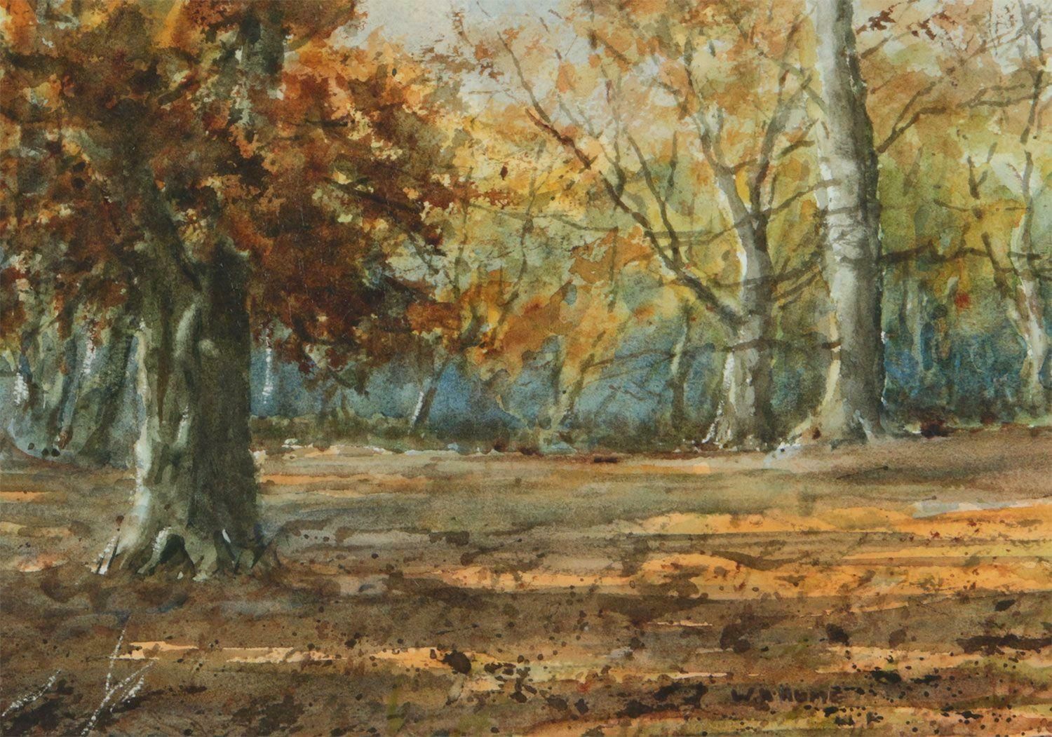 William Hume 19th Century Watercolour Drawing Of Autumnal Trees In Northern Ireland Forest 1950 Circa photo Art