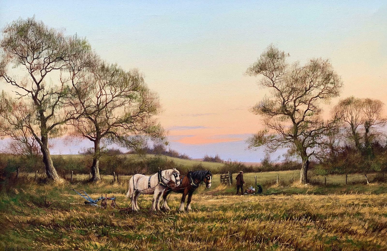 James Wright Horse Drawn Plough With Two Horses Ploughman And Dog By British Landscape Artist  1990 Circa photo 2950.0