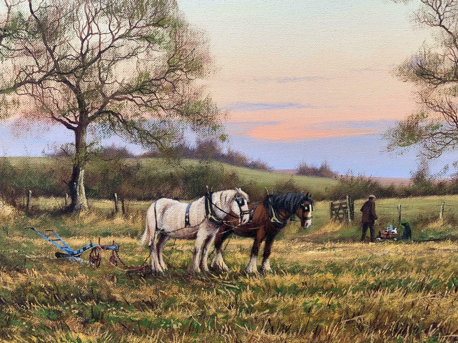 James Wright Horse Drawn Plough With Two Horses Ploughman And Dog By British Landscape Artist  1990 Circa photo vinterior