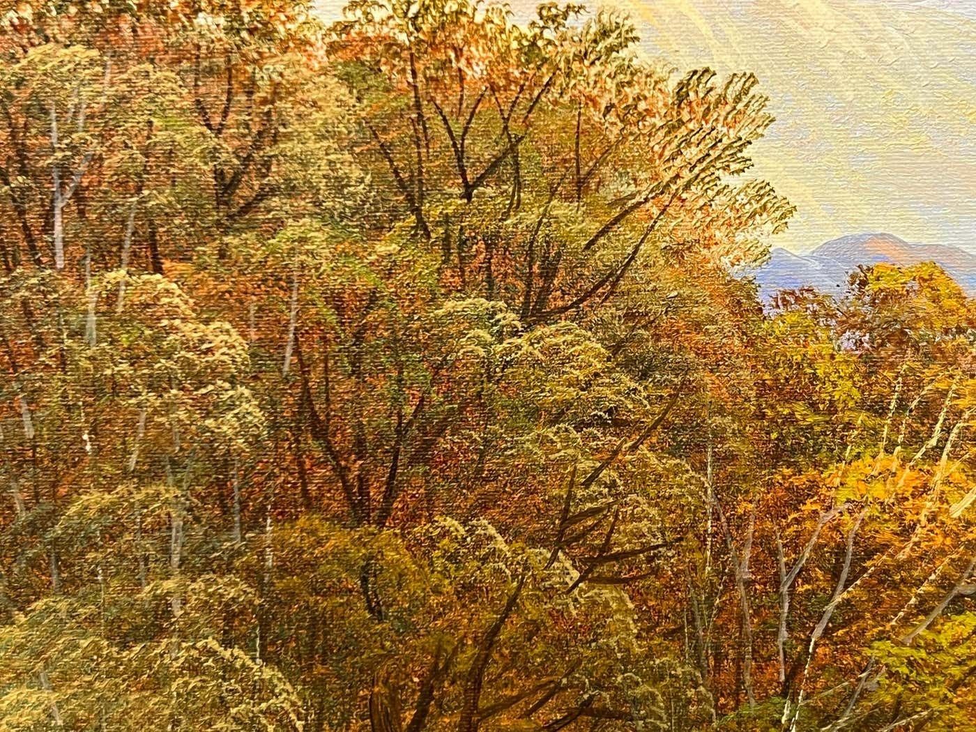 Andrew Grant Kurtis Mountain Lake Oil Painting Of A Loch In The Scottish Highlands By British Artist 1980 Circa photo buy