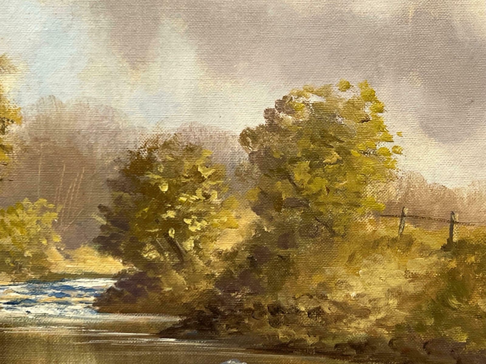 photo vinterior Manson Blair Original Oil Painting Of River Landscape In Ireland By 20th Century Irish Artist 1985 Circa