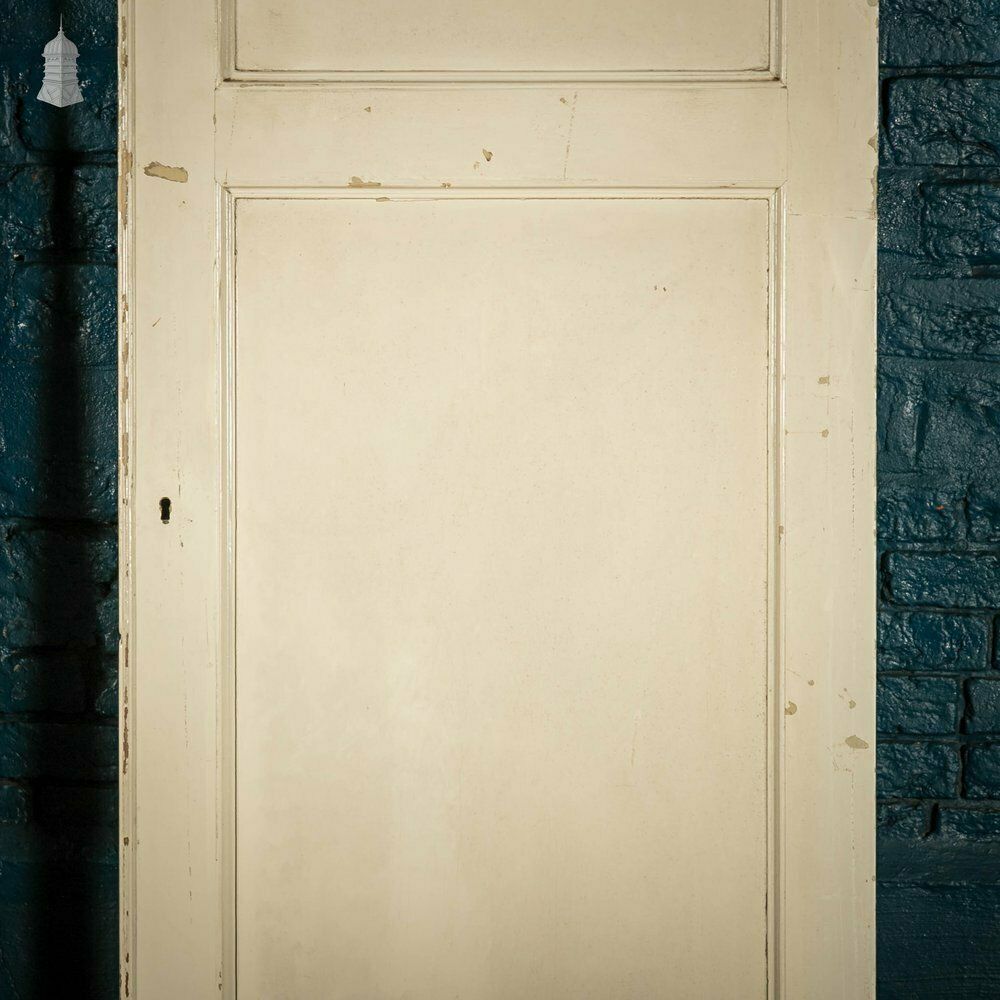 Pine Panelled Doors, Pair Of 19th C 2 Panel White Painted Cupboard Doors photo vinterior