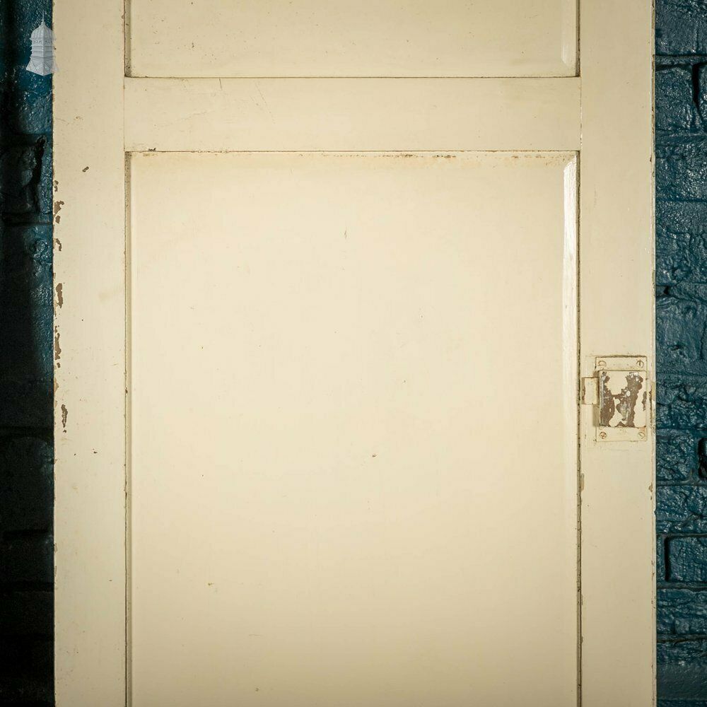 photo buy Pine Panelled Doors, Pair Of 19th C 2 Panel White Painted Cupboard Doors