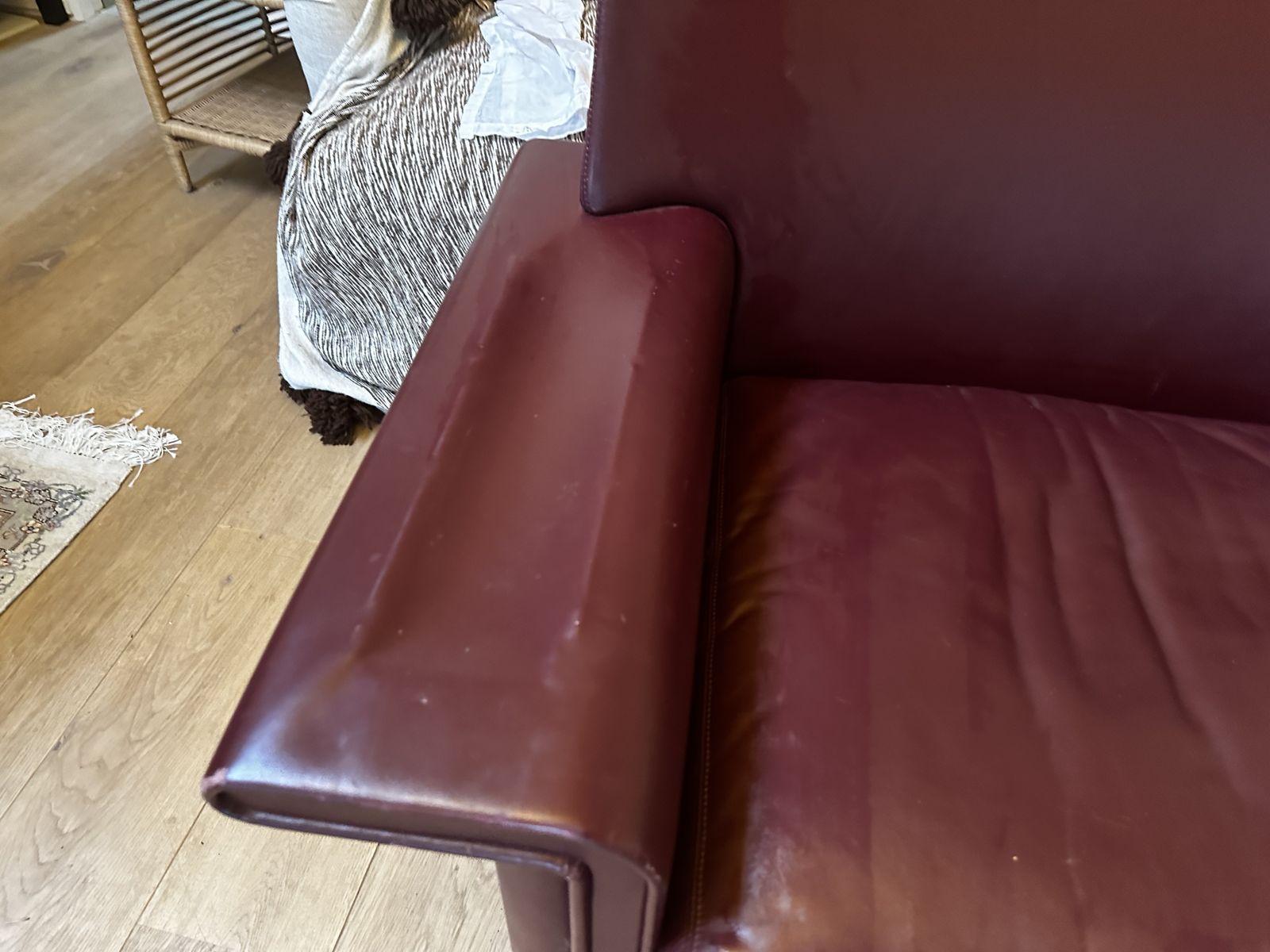 Vintage Cornelia Leather Armchair By Tobia & Afra Scarpa For Meritalia photo furniture