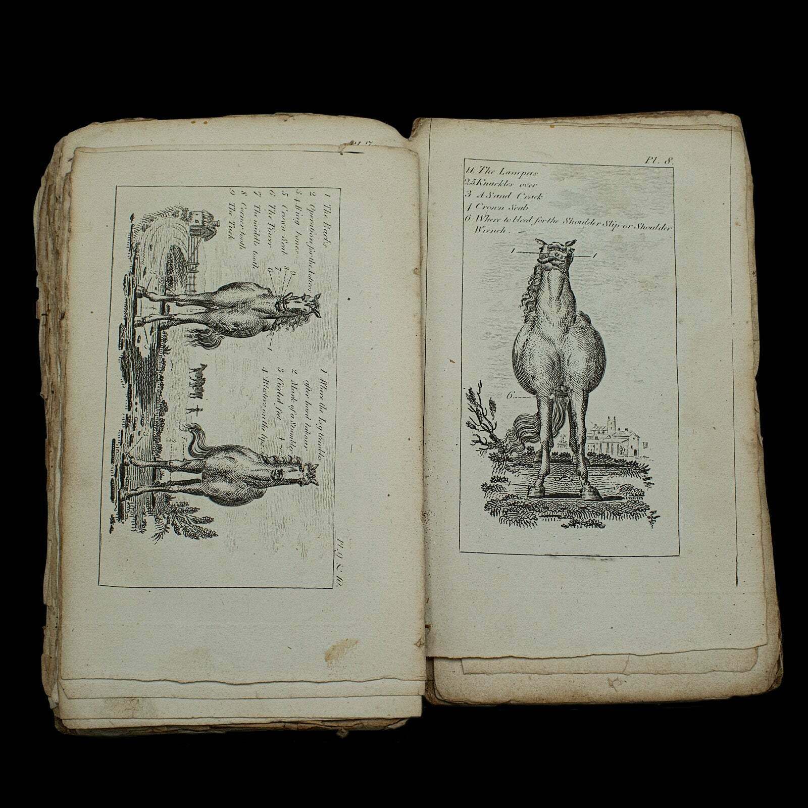 Home Decor Antique Book, Compendium Of Farriery, English, Georgian, Equestrian, London 1796 photo