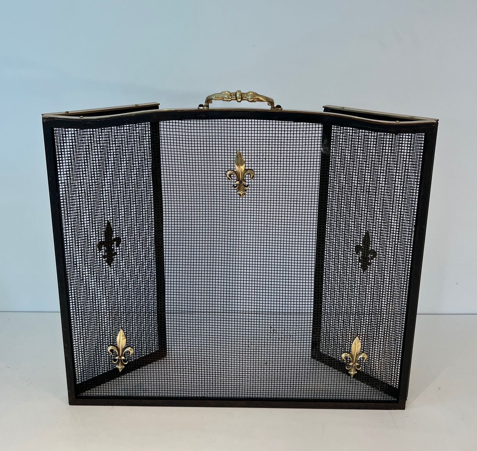 Neoclassical Style Firewall In Steel, Brass And Mesh With Fleurs De Lys Decor photo 1050.0