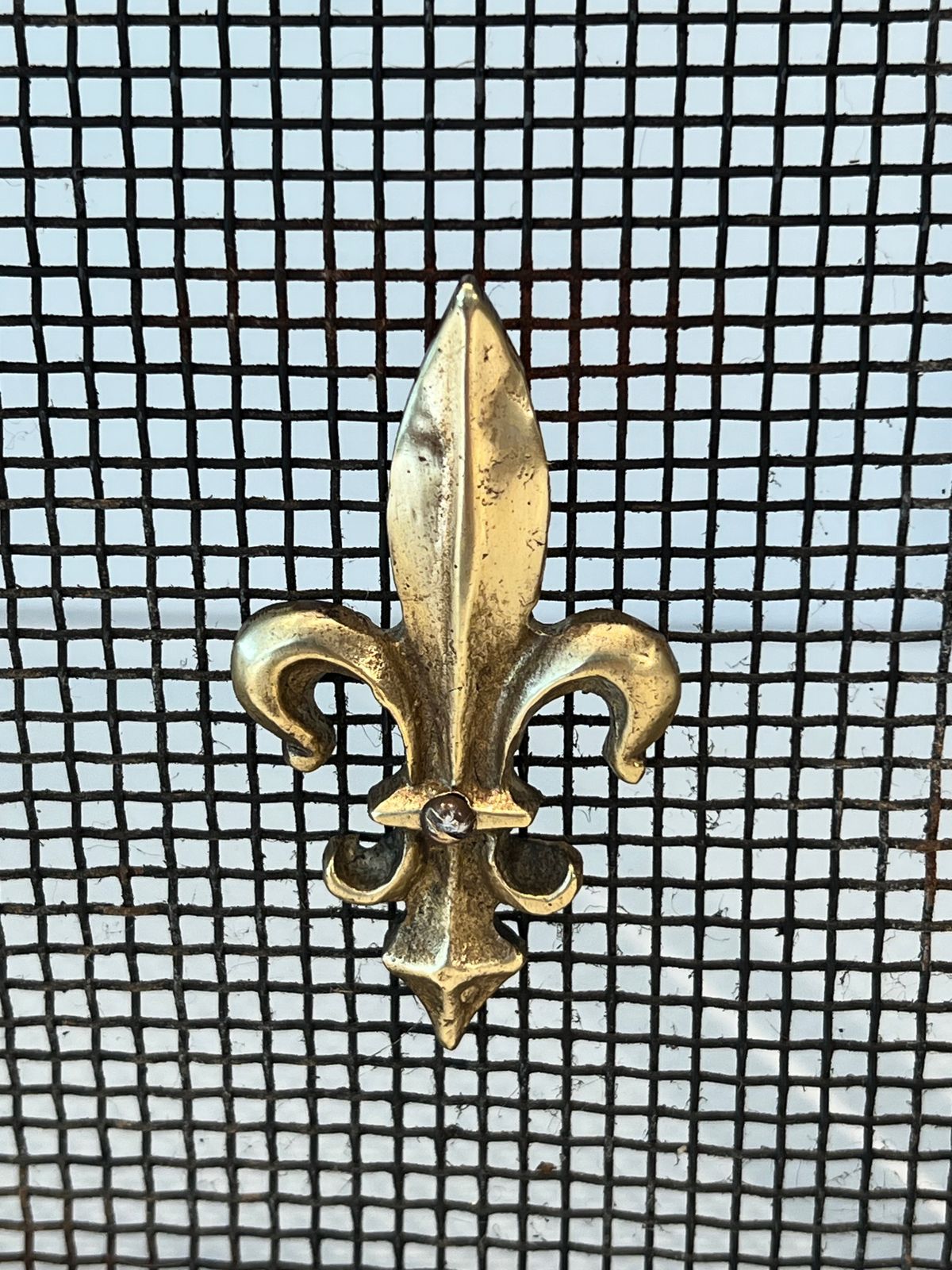 photo furniture Neoclassical Style Firewall In Steel, Brass And Mesh With Fleurs De Lys Decor