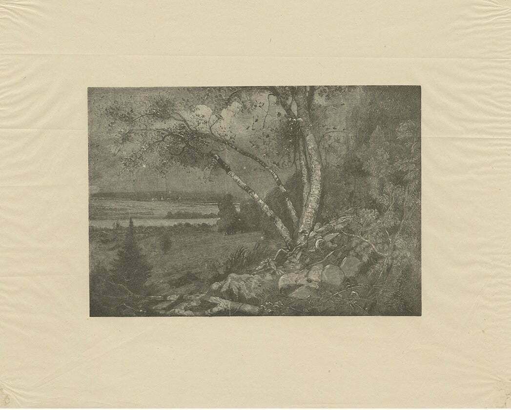 Antique Print Of A Landscape Made After E. Kingsley, Circa 1893