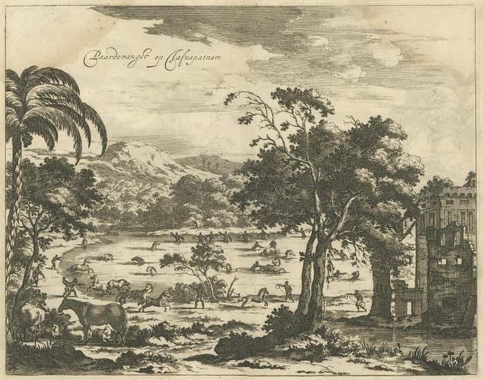 Antique Print Of Horse Catching In Ceylon/Sri Lanka By P. Baldaeus (1672) photo furniture