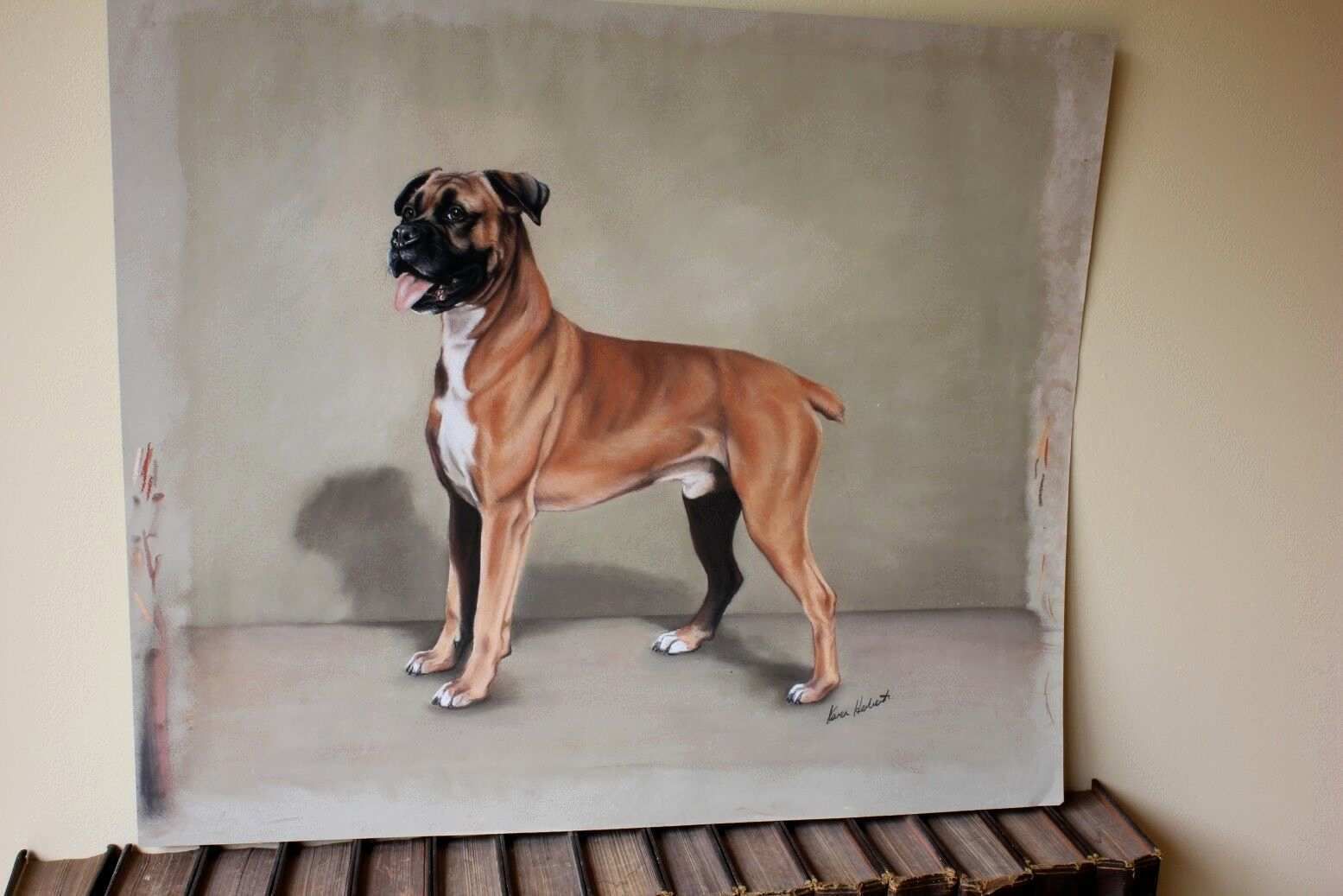 Boxer Dog Pastel Painting By Karen Herbert Animal Artist photo buy