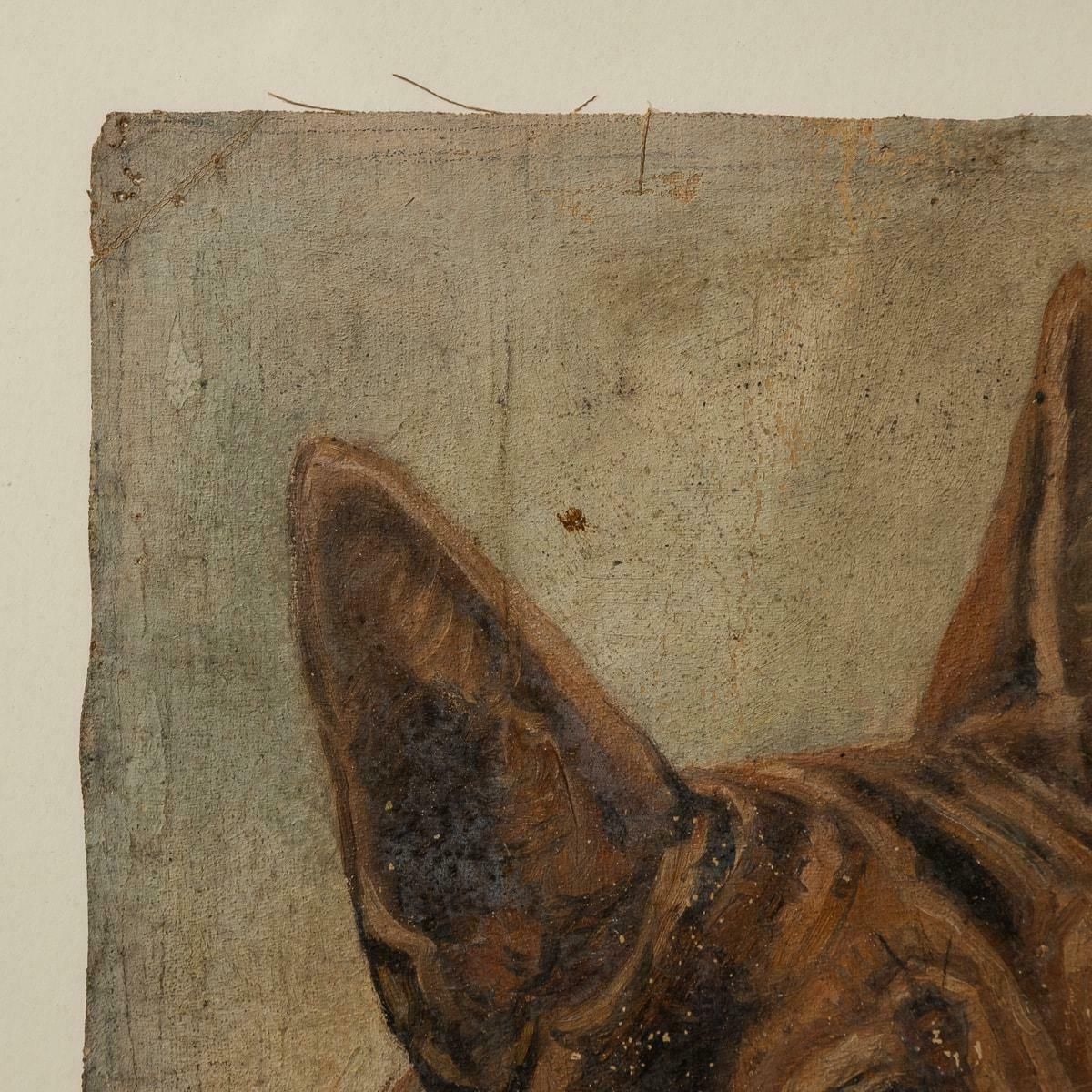 Antique 20thc Framed German Shepherd Oil On Canvas By Frederick T. Daws C.1926 photo vintage
