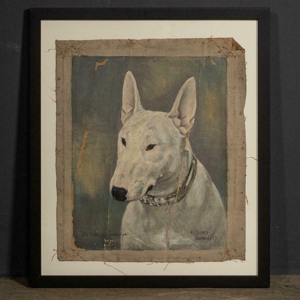 Antique 20thc Framed English Bull Terrier Oil On Canvas By Frederick Thomas Daws photo buy