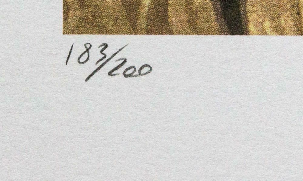 Gustav Klimt, "The Kiss" Large Limited Lithograph photo Art
