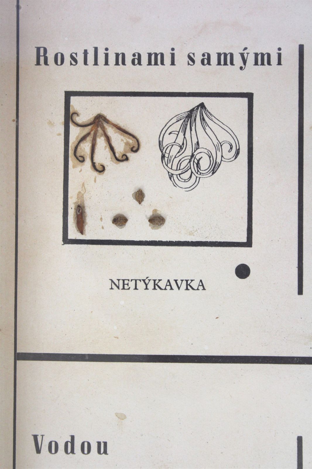 Vintage School Chart / Poster, Spreading The Seeds, 1960s photo for sale