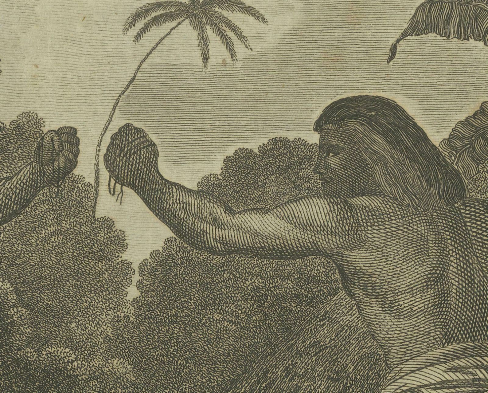 Traditions And Faces Of The Pacific: Boxing In Ha'apai And A Man Of Mangea, 1785 photo buy